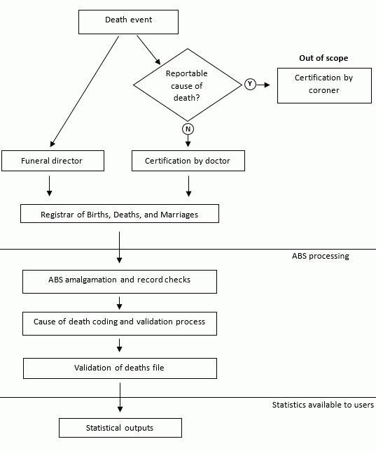 Image: flowchart showing doctor certified death registration process in Australia 